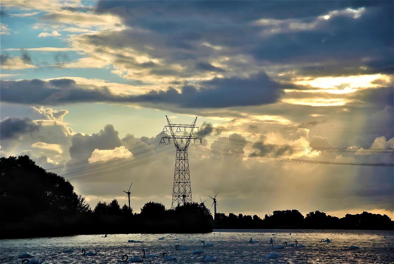 Participant travaillant sur un projet de système de puissance en ligne
